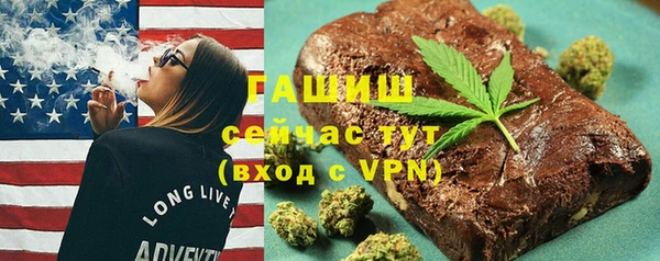 гидра Горняк