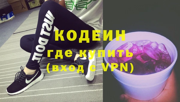 индика Верхний Тагил