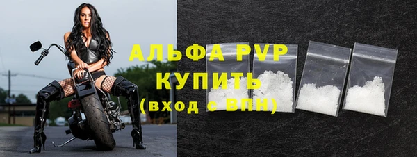 индика Верхний Тагил
