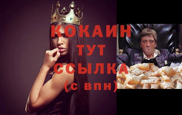 гидра Горняк