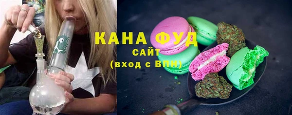 гидра Горняк