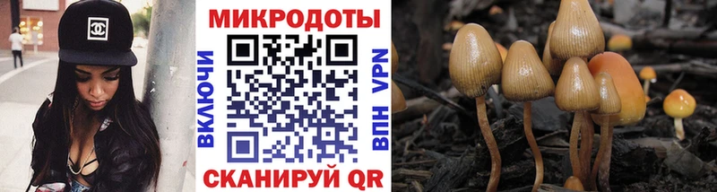 Галлюциногенные грибы GOLDEN TEACHER  OMG ONION  Дмитров 